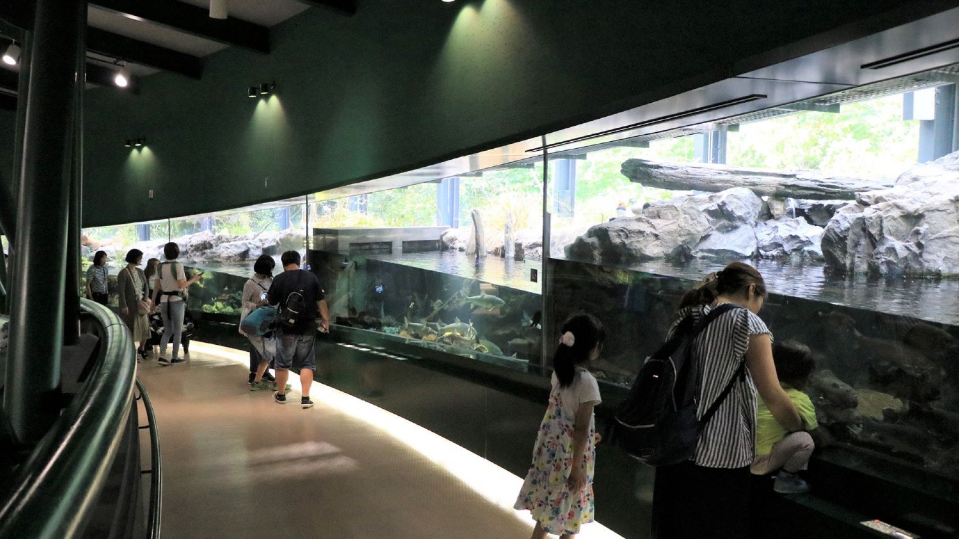 🐠 사가미강 후레아이 과학관 아쿠아리움 사가미하라 이미지 1